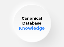 mirai ai infrastructure canonical database